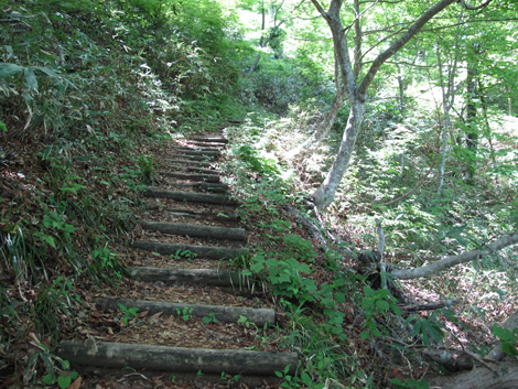 20140517hike (129)